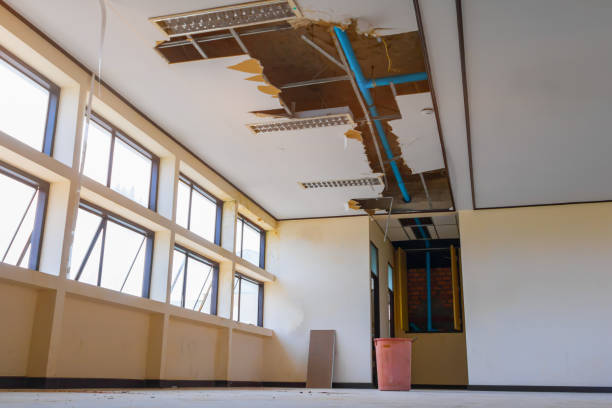 Best Emergency water damage restoration  in Clio, AL