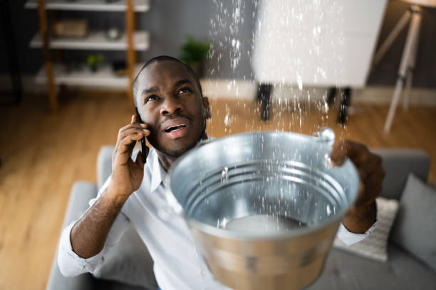 Best 24/7 water damage repair  in Clio, AL