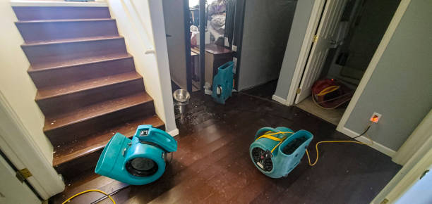 Best 24-hour water damage restoration  in Clio, AL