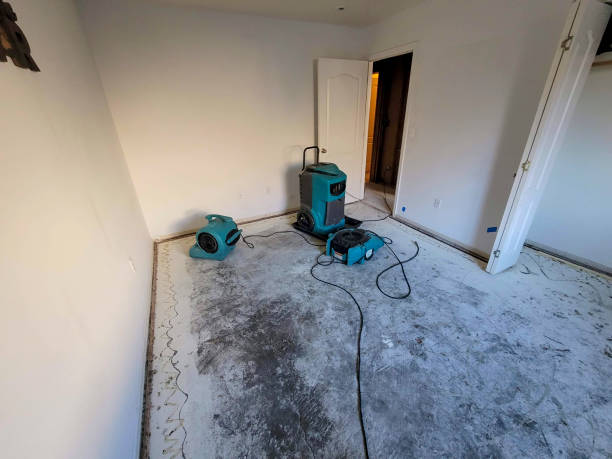 Clio, AL Water damage restoration Pros