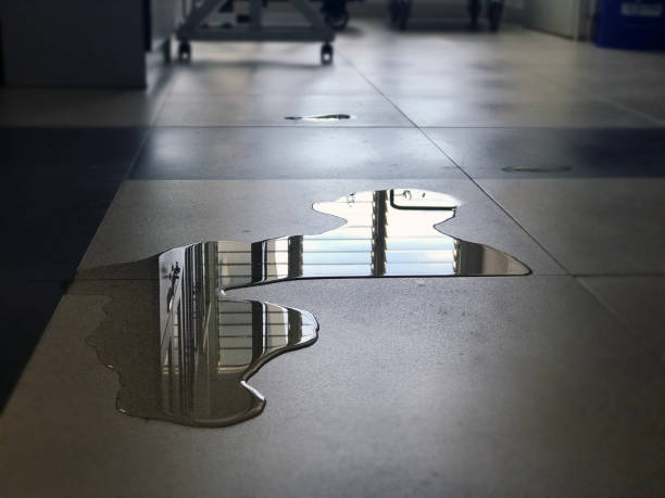 Best 24-hour water damage restoration  in Clio, AL