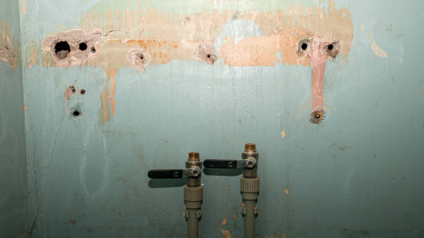 Best Water damage restoration near me  in Clio, AL