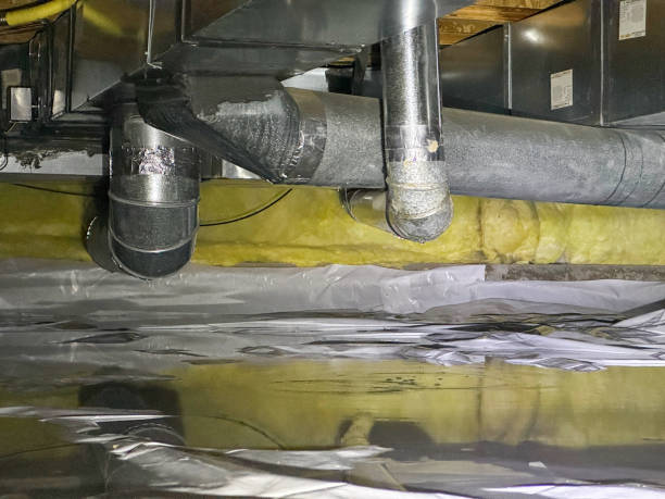 Best Sewage cleanup and water damage restoration  in Clio, AL