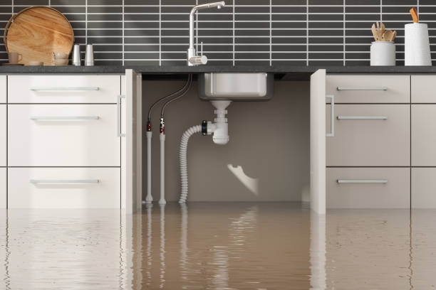 Best Local water damage restoration  in Clio, AL