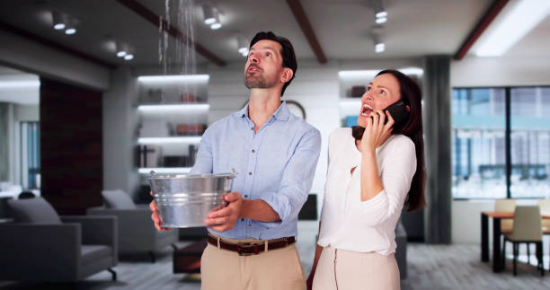 Best Water damage restoration mold remediation  in Clio, AL